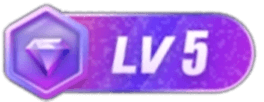 等级-LV5-IS【70】